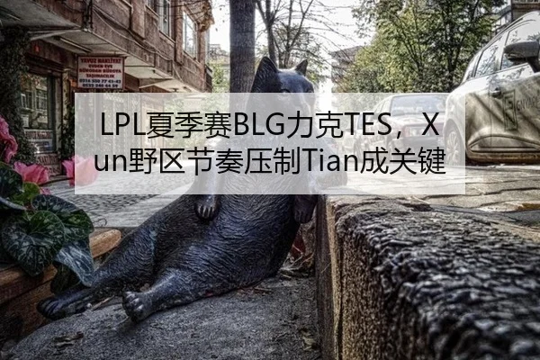 LPL夏季赛BLG力克TES，Xun野区节奏压制Tian成关键