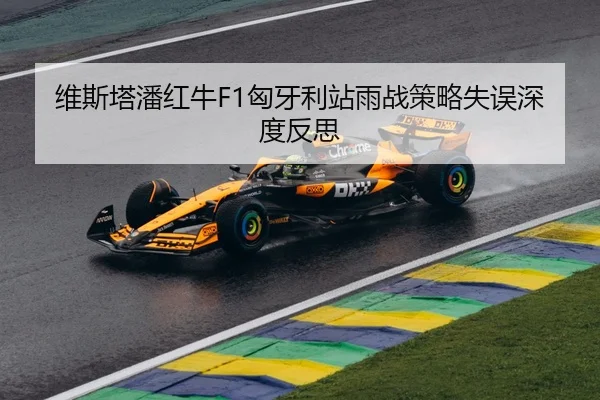 维斯塔潘红牛F1匈牙利站雨战策略失误深度反思