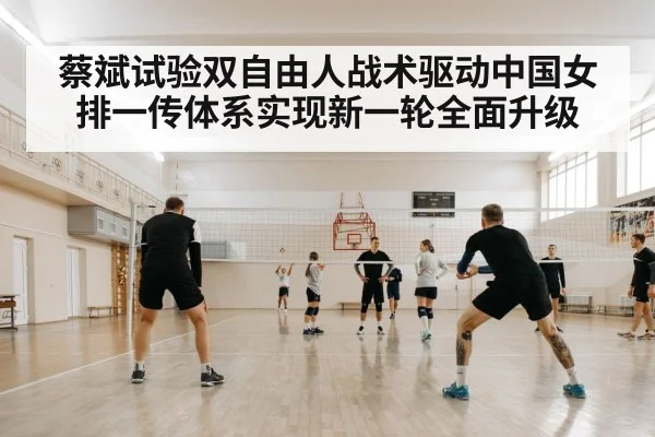 volleyball training court